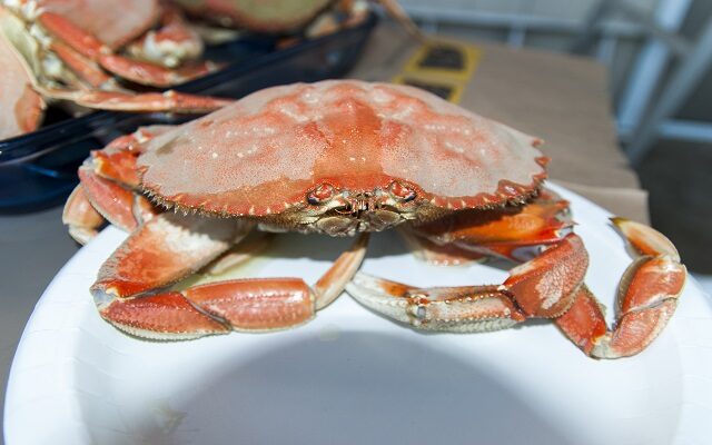 Check Out The Fairfield Police Officers Association Crab Feed On 2/18