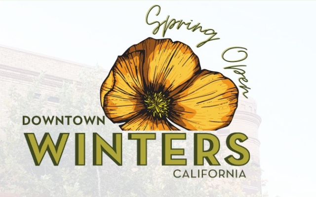 <h1 class="tribe-events-single-event-title">Winters: Downtown Winters Spring Open</h1>