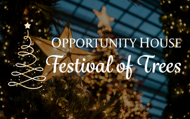 <h1 class="tribe-events-single-event-title">Vacaville: Opportunity House Festival Of Trees Fundraiser Gala</h1>