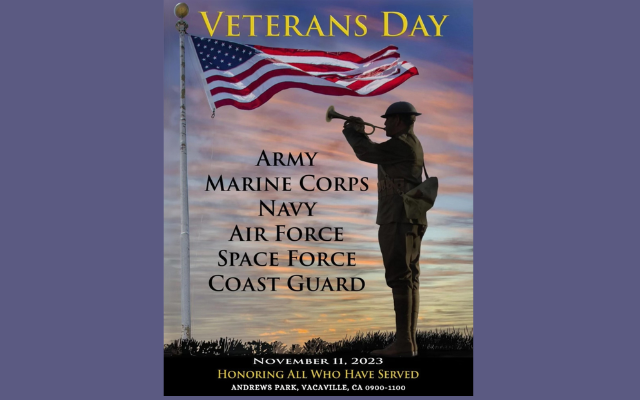 <h1 class="tribe-events-single-event-title">Vacaville: Veteran’s Day in Andrews Park</h1>